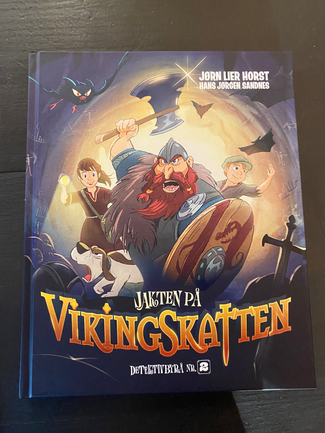 Jakten på Viking Skatten - Detektivbyrå nr. 2